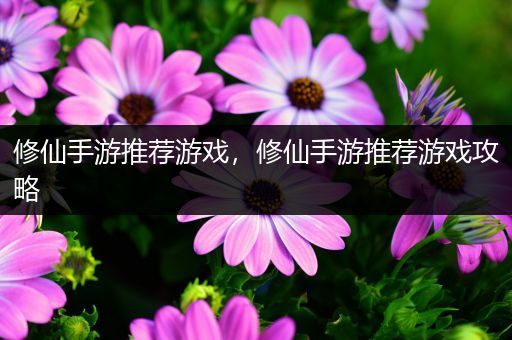 修仙手游推荐游戏，修仙手游推荐游戏攻略