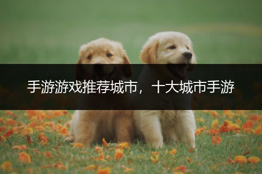 手游游戏推荐城市，十大城市手游
