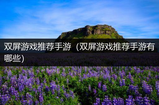 双屏游戏推荐手游（双屏游戏推荐手游有哪些）