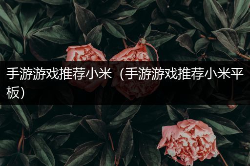手游游戏推荐小米（手游游戏推荐小米平板）