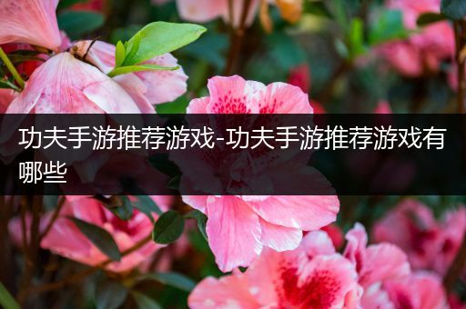 功夫手游推荐游戏-功夫手游推荐游戏有哪些