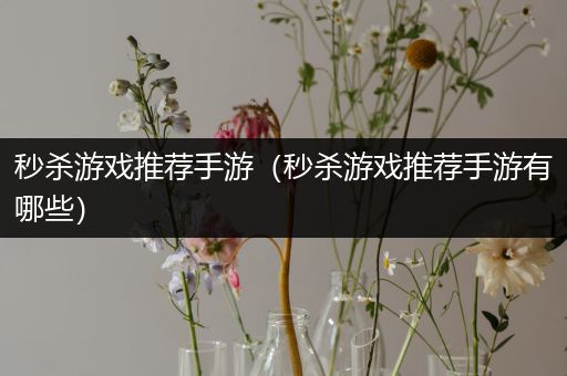 秒杀游戏推荐手游（秒杀游戏推荐手游有哪些）