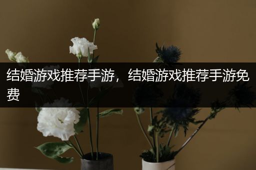 结婚游戏推荐手游，结婚游戏推荐手游免费