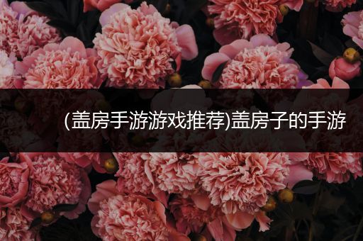 （盖房手游游戏推荐)盖房子的手游