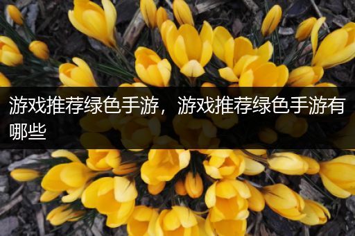 游戏推荐绿色手游，游戏推荐绿色手游有哪些