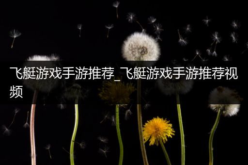 飞艇游戏手游推荐_飞艇游戏手游推荐视频