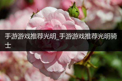 手游游戏推荐光明_手游游戏推荐光明骑士