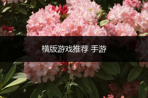 横版游戏推荐 手游