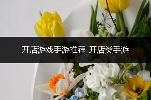 开店游戏手游推荐_开店类手游