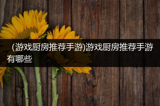 （游戏厨房推荐手游)游戏厨房推荐手游有哪些