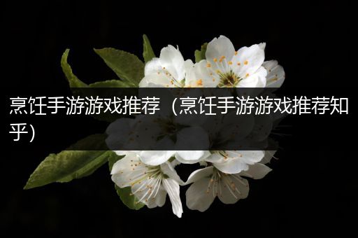 烹饪手游游戏推荐（烹饪手游游戏推荐知乎）