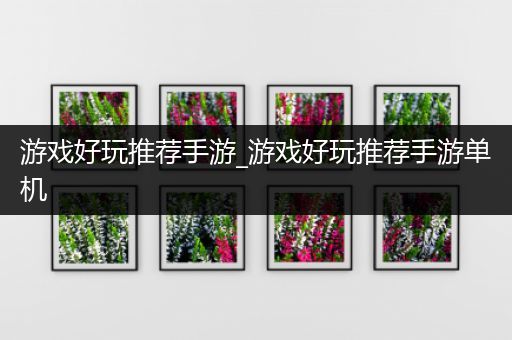 游戏好玩推荐手游_游戏好玩推荐手游单机