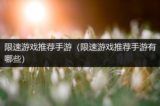 限速游戏推荐手游（限速游戏推荐手游有哪些）