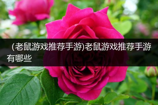 （老鼠游戏推荐手游)老鼠游戏推荐手游有哪些