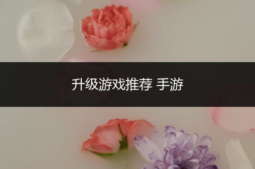 升级游戏推荐 手游
