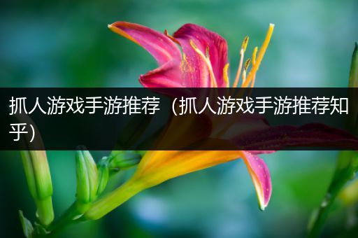 抓人游戏手游推荐（抓人游戏手游推荐知乎）