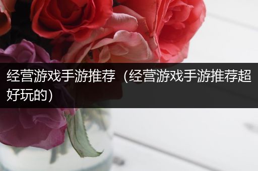 经营游戏手游推荐（经营游戏手游推荐超好玩的）