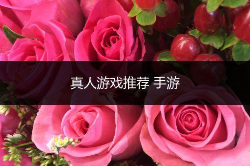 真人游戏推荐 手游