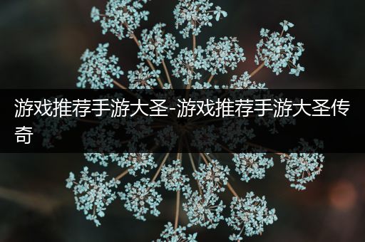 游戏推荐手游大圣-游戏推荐手游大圣传奇