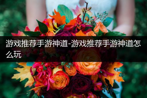 游戏推荐手游神道-游戏推荐手游神道怎么玩