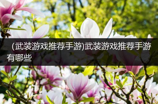 （武装游戏推荐手游)武装游戏推荐手游有哪些