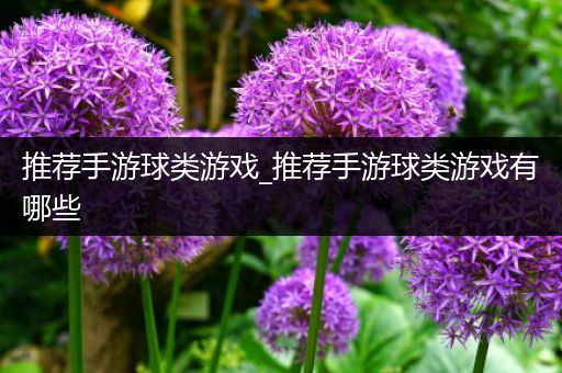 推荐手游球类游戏_推荐手游球类游戏有哪些