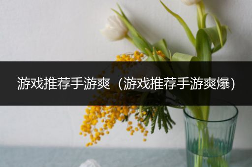游戏推荐手游爽（游戏推荐手游爽爆）