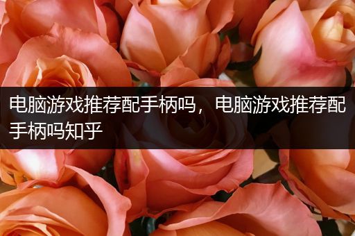 电脑游戏推荐配手柄吗，电脑游戏推荐配手柄吗知乎
