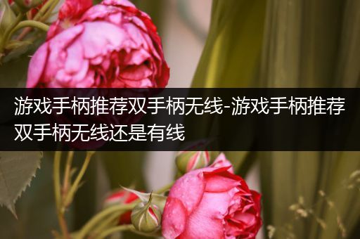 游戏手柄推荐双手柄无线-游戏手柄推荐双手柄无线还是有线
