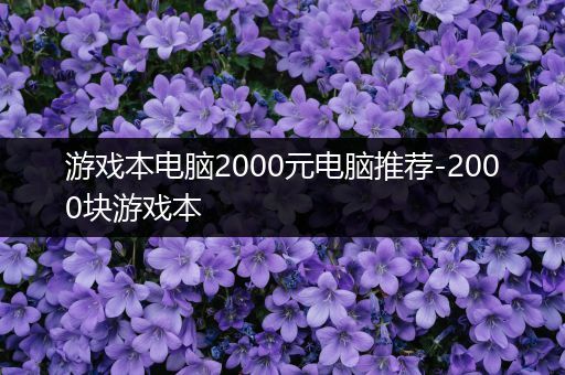 游戏本电脑2000元电脑推荐-2000块游戏本
