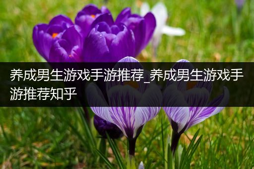 养成男生游戏手游推荐_养成男生游戏手游推荐知乎