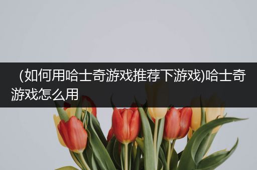 （如何用哈士奇游戏推荐下游戏)哈士奇游戏怎么用