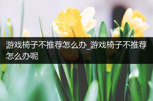游戏椅子不推荐怎么办_游戏椅子不推荐怎么办呢