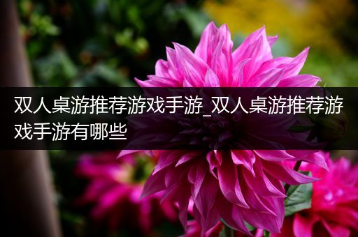 双人桌游推荐游戏手游_双人桌游推荐游戏手游有哪些