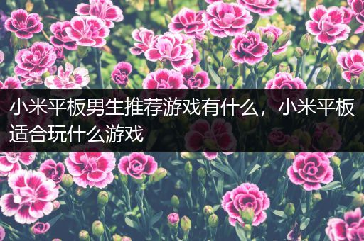 小米平板男生推荐游戏有什么，小米平板适合玩什么游戏