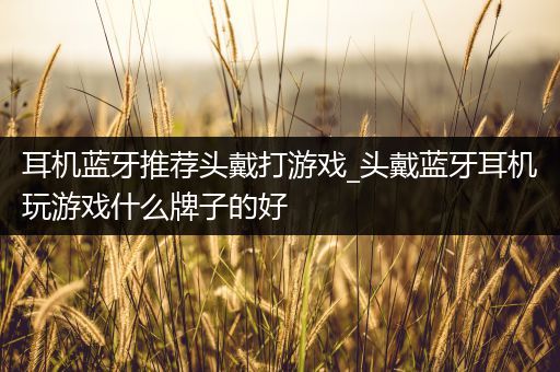 耳机蓝牙推荐头戴打游戏_头戴蓝牙耳机玩游戏什么牌子的好