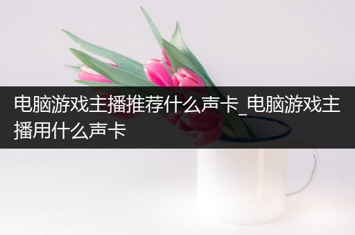 电脑游戏主播推荐什么声卡_电脑游戏主播用什么声卡