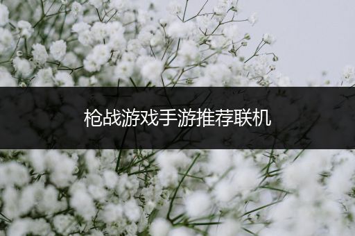 枪战游戏手游推荐联机