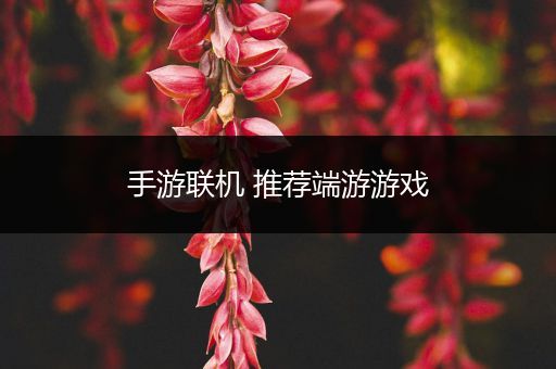 手游联机 推荐端游游戏