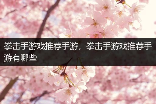 拳击手游戏推荐手游，拳击手游戏推荐手游有哪些