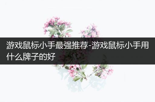 游戏鼠标小手最强推荐-游戏鼠标小手用什么牌子的好
