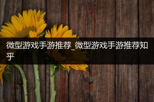 微型游戏手游推荐_微型游戏手游推荐知乎