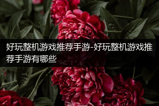 好玩整机游戏推荐手游-好玩整机游戏推荐手游有哪些