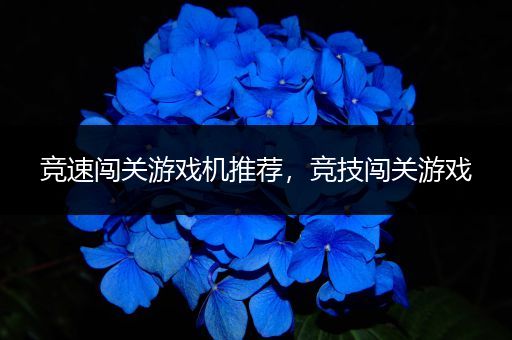 竞速闯关游戏机推荐，竞技闯关游戏