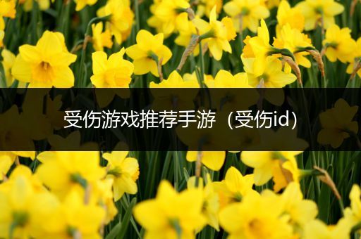 受伤游戏推荐手游（受伤id）