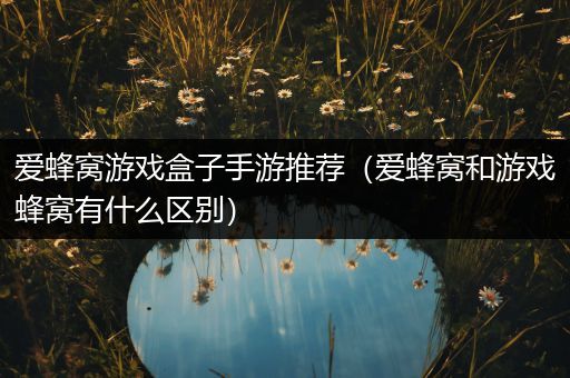 爱蜂窝游戏盒子手游推荐（爱蜂窝和游戏蜂窝有什么区别）