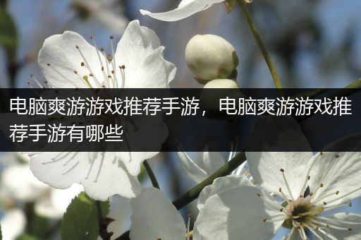 电脑爽游游戏推荐手游，电脑爽游游戏推荐手游有哪些