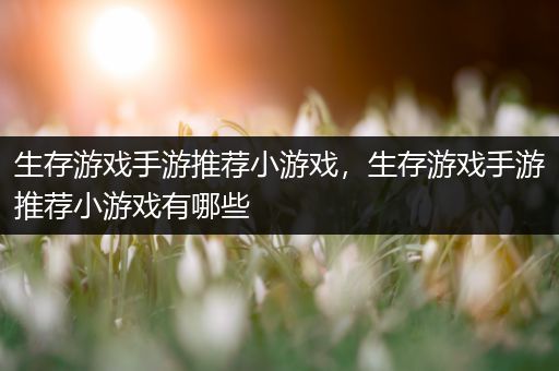 生存游戏手游推荐小游戏，生存游戏手游推荐小游戏有哪些