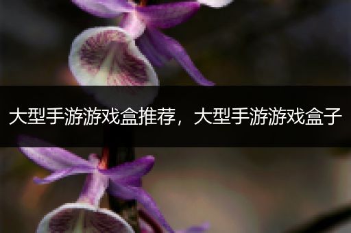 大型手游游戏盒推荐，大型手游游戏盒子