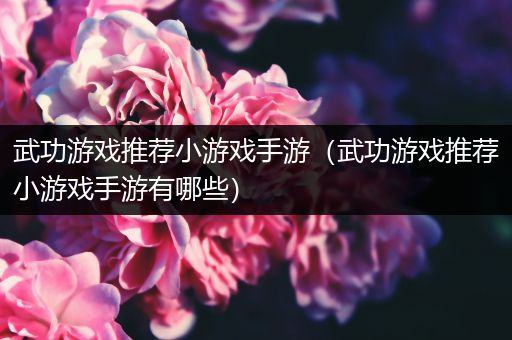 武功游戏推荐小游戏手游（武功游戏推荐小游戏手游有哪些）